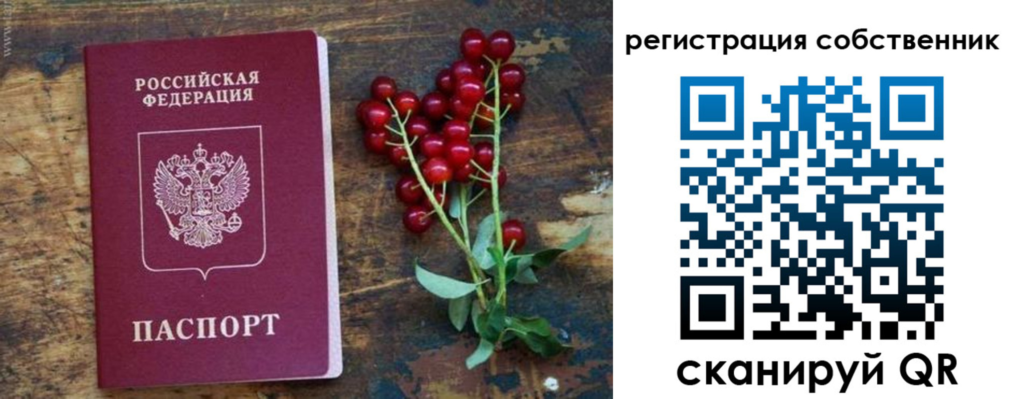 регистрация для дет. сада в Оленегорске